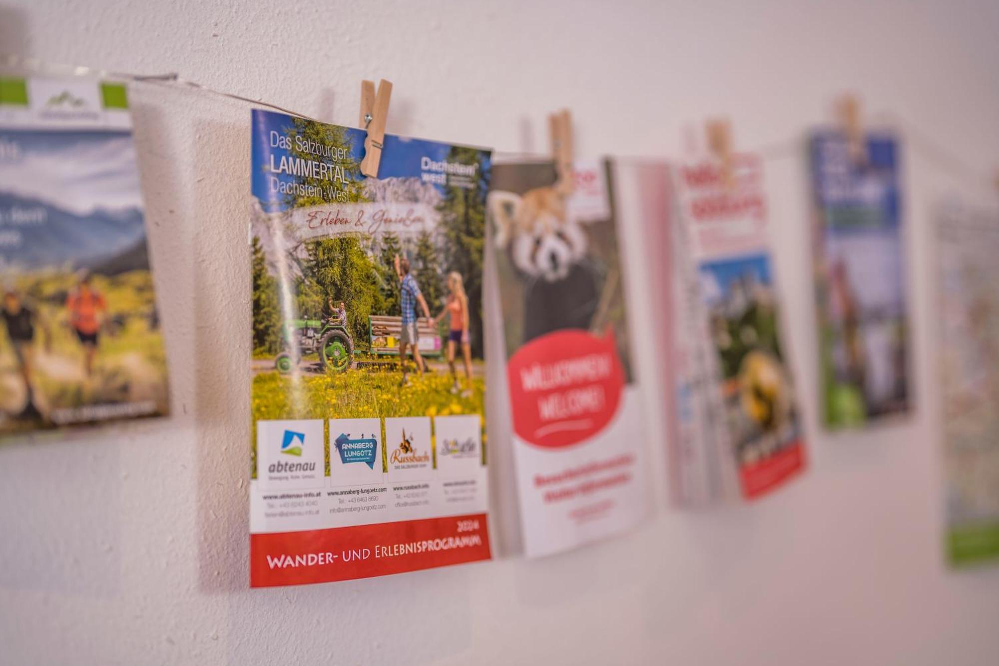 Ferienwohnung Andexlinger Abtenau Luaran gambar